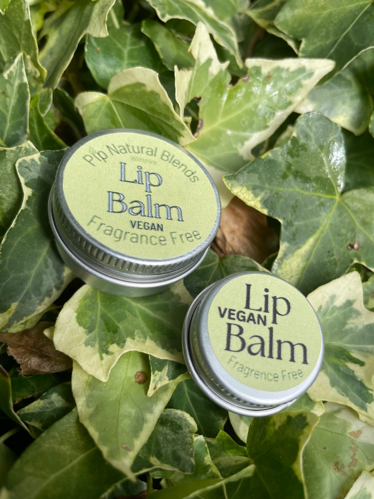 10ml Vegan Lip Balm Fragrance Free