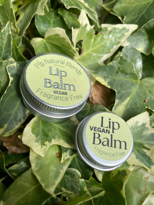 10ml Vegan Lip Balm Fragrance Free