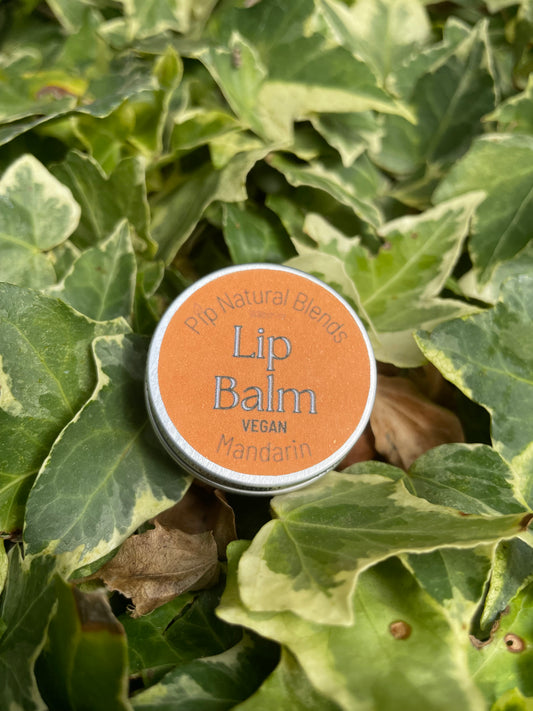 10ml Vegan Lip Balm Mandarin