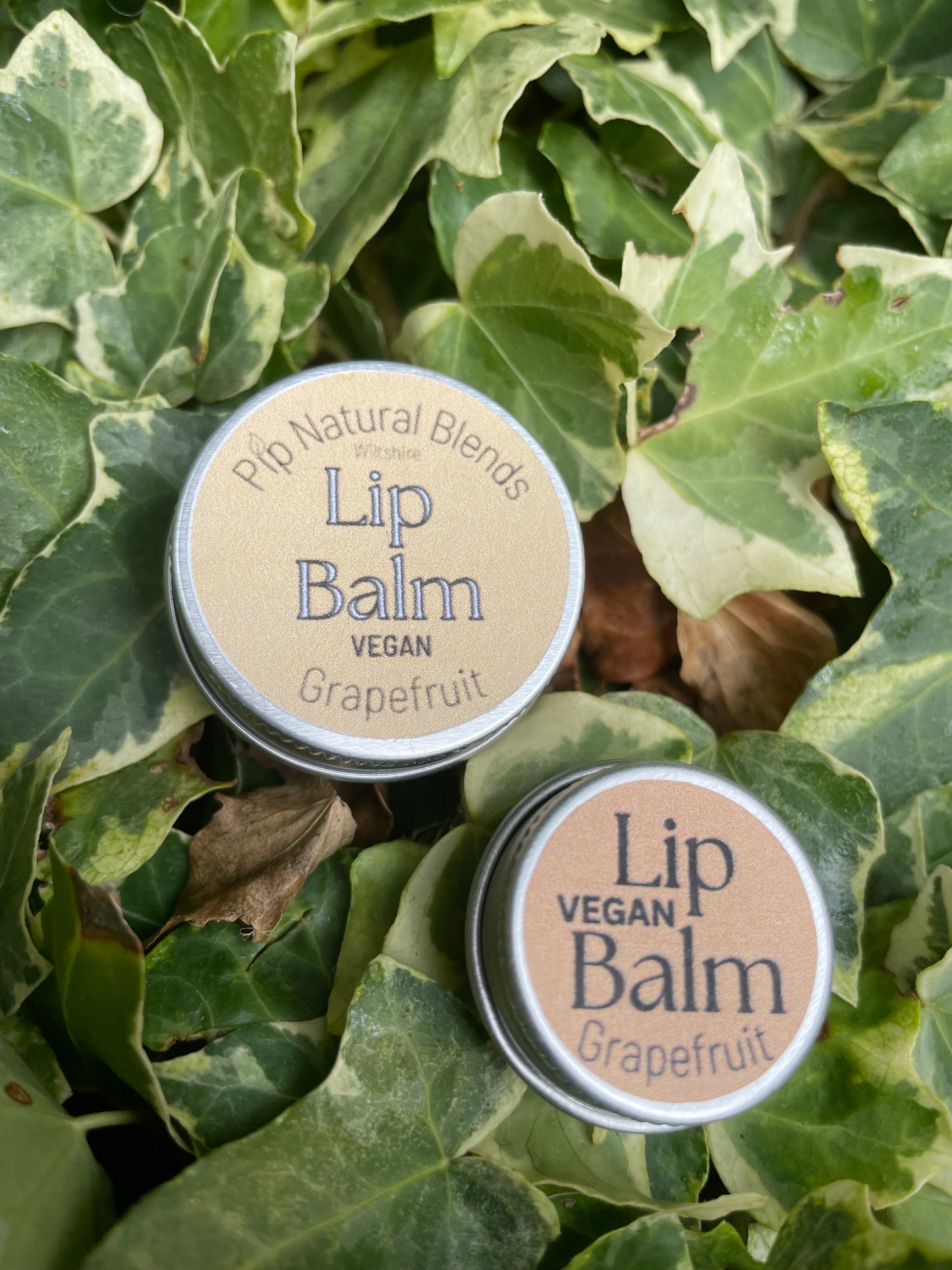 10ml Vegan Lip Balm Grapefruit