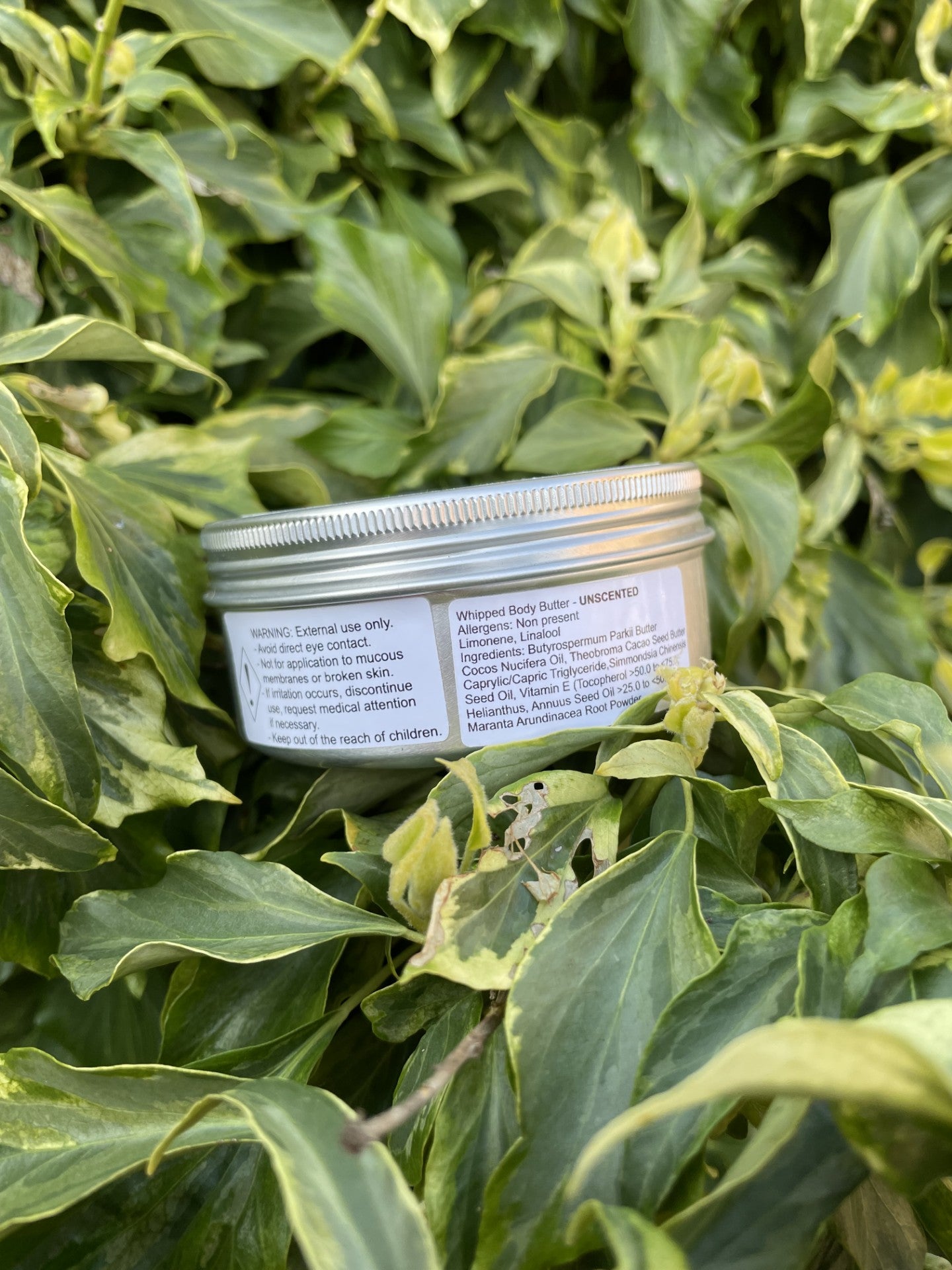 Whipped Body Butter (Unscented)