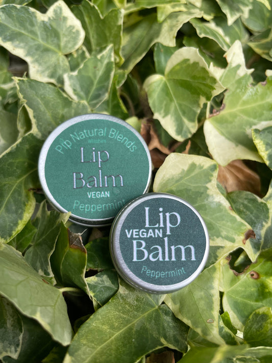 10ml Vegan Lip Balm Peppermint