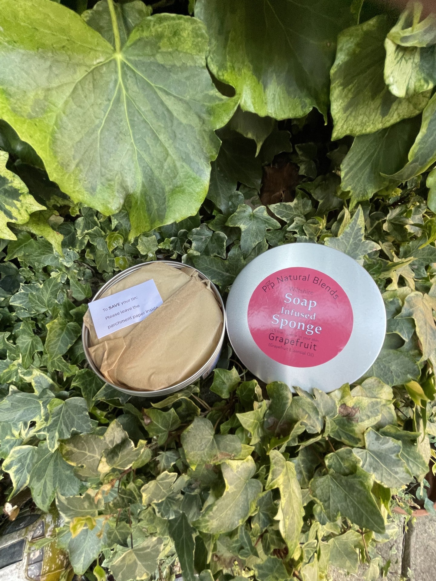 Soap Infused Sponge Collection - Grapefruit essential oil