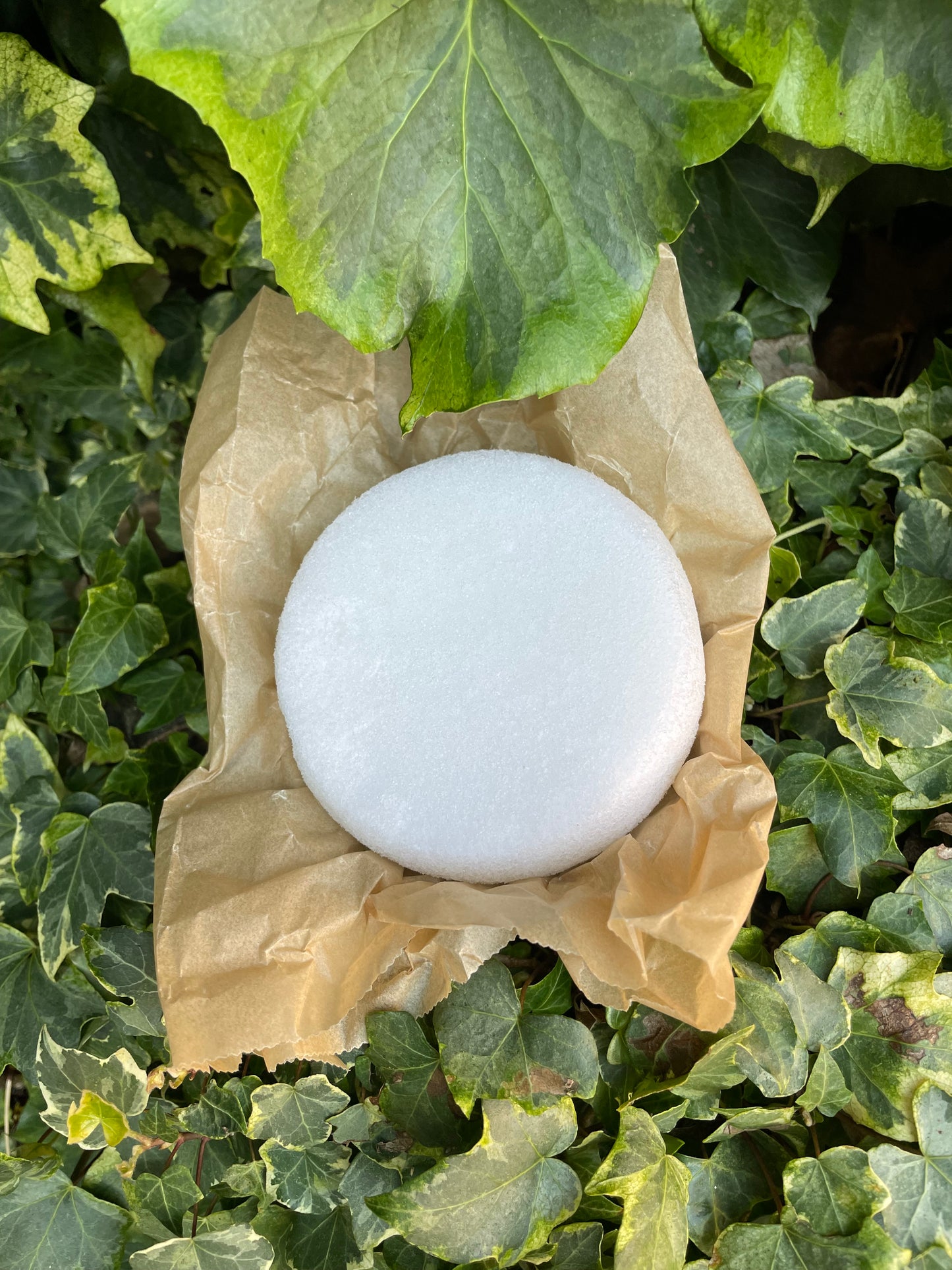 Soap Infused Sponge Collection - Lemongrass essential oil