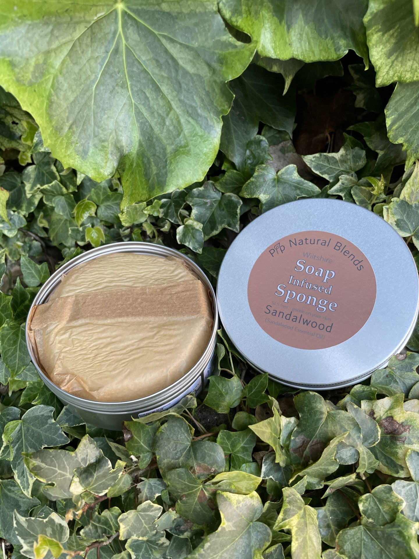 Soap Infused Sponge Collection - Sandalwood essential oil